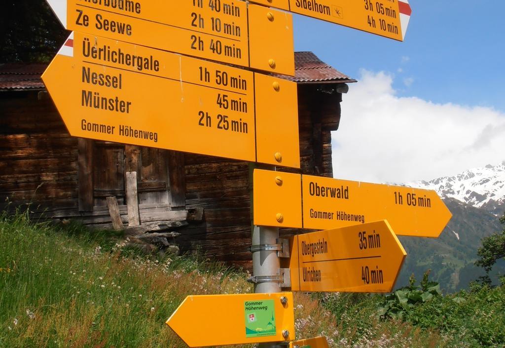 Hotel Grimsel Obergesteln Eksteriør bilde